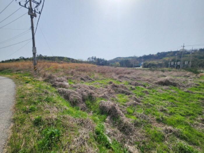 전북특별자치도 부안군 변산면 마포리 산83-1 임야 경매 사진 7