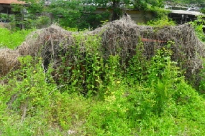 전북특별자치도 정읍시 산외면 종산리 369 전 경매 사진 10