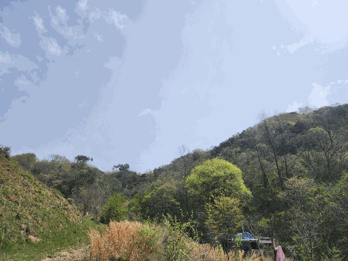 전북특별자치도 정읍시 산외면 종산리 369 전 경매 사진 5