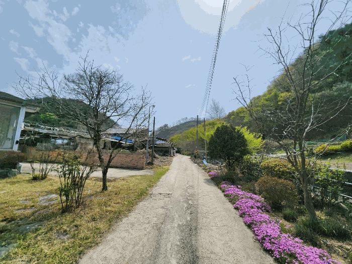 전북특별자치도 정읍시 산외면 종산리 369 전 경매 사진 6
