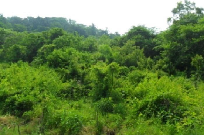 전북특별자치도 정읍시 산외면 종산리 369 전 경매 사진 7
