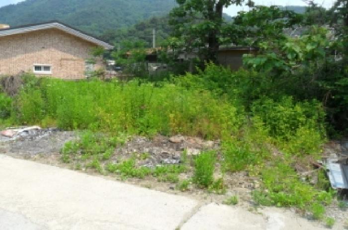 전북특별자치도 정읍시 산외면 종산리 369 전 경매 사진 8