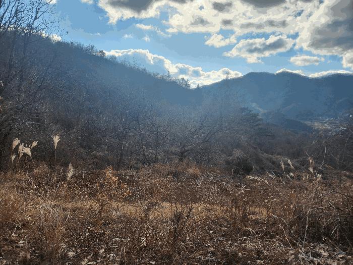 충청남도 금산군 진산면 엄정리 산10 임야 경매 사진 1