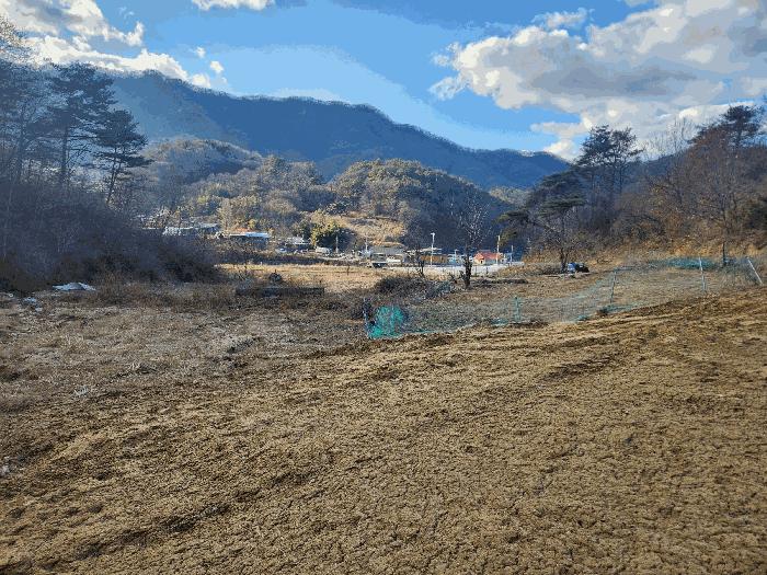 충청남도 금산군 진산면 엄정리 산10 임야 경매 사진 10