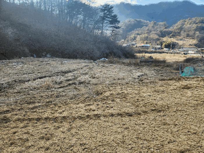 충청남도 금산군 진산면 엄정리 산10 임야 경매 사진 2