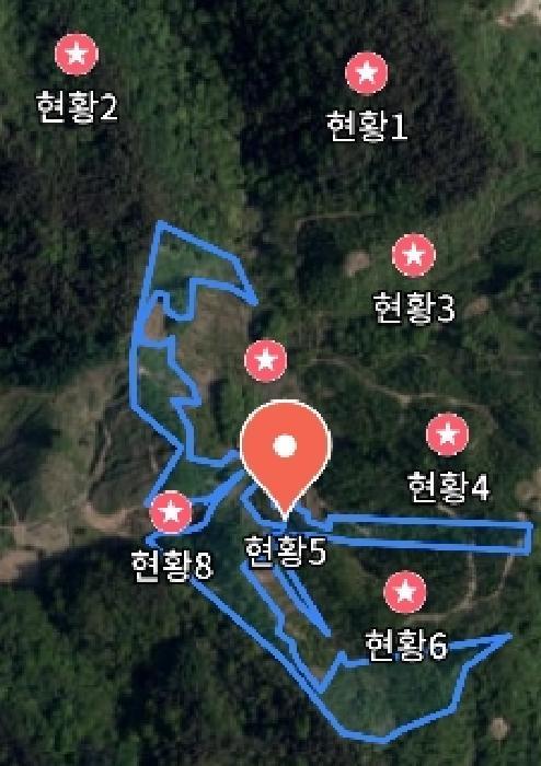 충청남도 금산군 진산면 엄정리 산10 임야 경매 사진 28