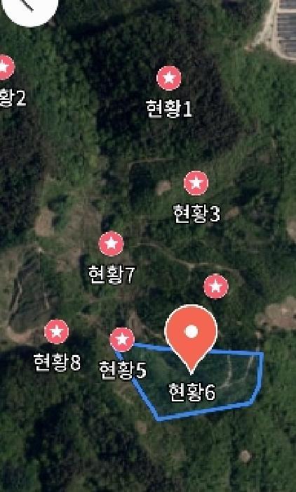 충청남도 금산군 진산면 엄정리 산10 임야 경매 사진 29