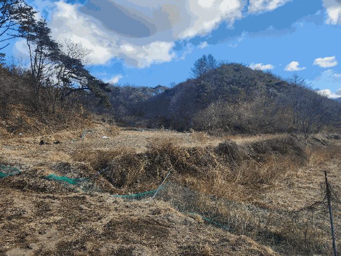 충청남도 금산군 진산면 엄정리 산10 임야 경매 사진 3