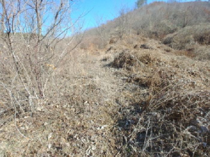 충청남도 금산군 진산면 엄정리 산10 임야 경매 사진 33