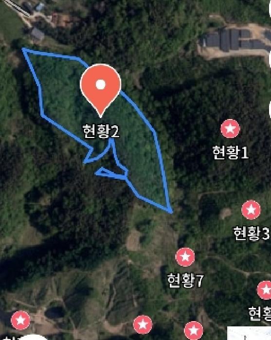 충청남도 금산군 진산면 엄정리 산10 임야 경매 사진 36