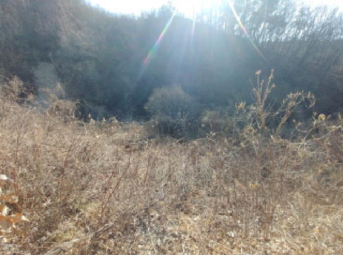 충청남도 금산군 진산면 엄정리 산10 임야 경매 사진 45