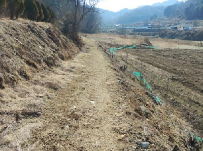 충청남도 금산군 진산면 엄정리 산10 임야 경매 사진 47
