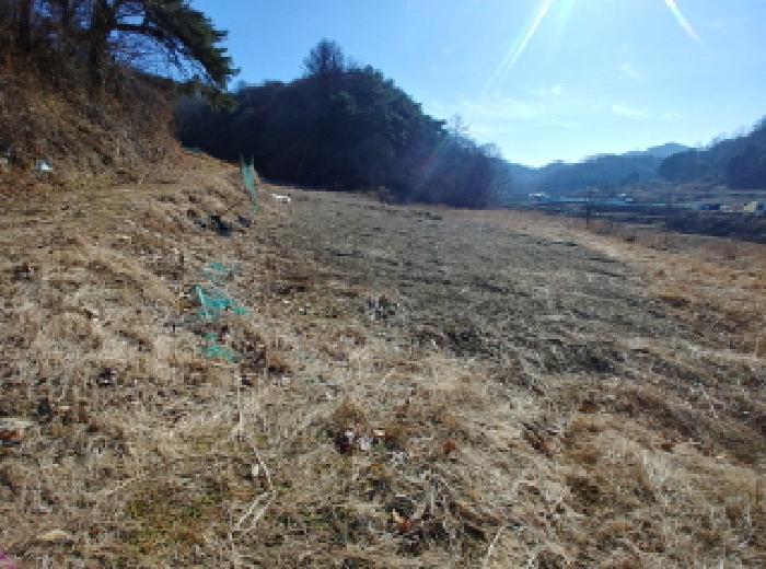 충청남도 금산군 진산면 엄정리 산10 임야 경매 사진 48