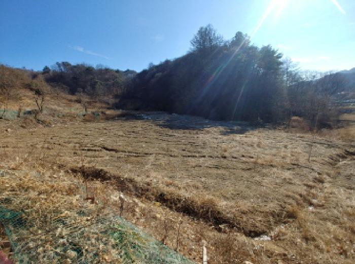충청남도 금산군 진산면 엄정리 산10 임야 경매 사진 52