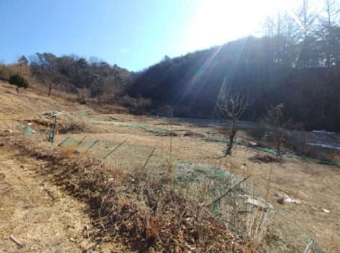 충청남도 금산군 진산면 엄정리 산10 임야 경매 사진 55