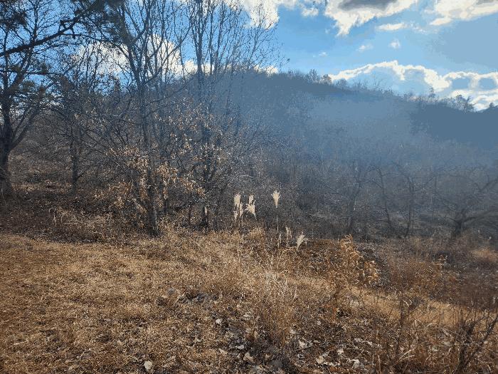 충청남도 금산군 진산면 엄정리 산10 임야 경매 사진 8
