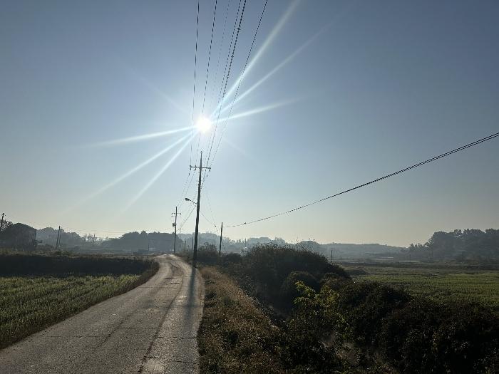 충청남도 당진시 송악읍 석포리 321-29 답 경매 사진 4