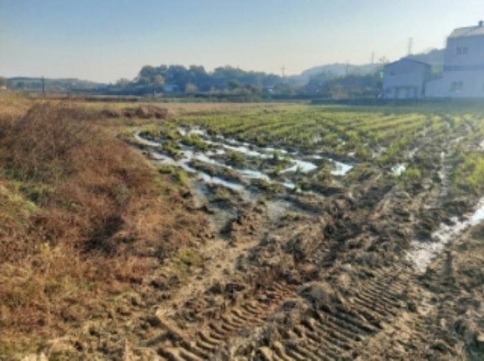 충청남도 당진시 송악읍 석포리 321-29 답 경매 사진 6
