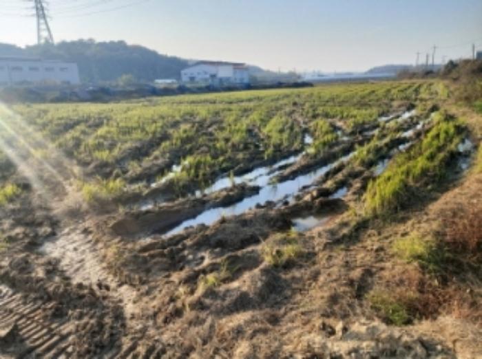 충청남도 당진시 송악읍 석포리 321-29 답 경매 사진 7