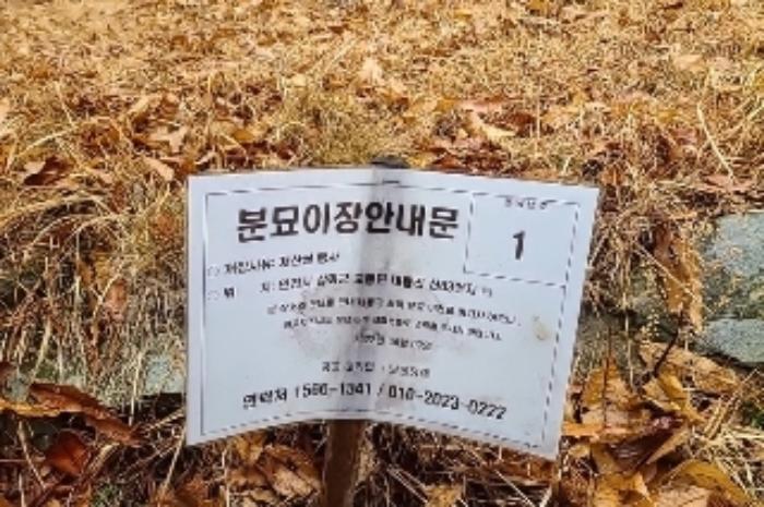 인천광역시 강화군 교동면 대룡리 722-4 임야 경매 사진 14