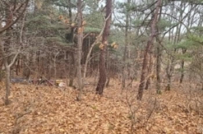 인천광역시 강화군 교동면 대룡리 722-4 임야 경매 사진 19