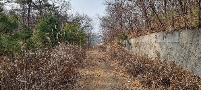 인천광역시 강화군 교동면 대룡리 722-4 임야 경매 사진 7