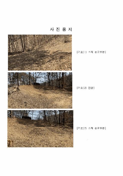 경기도 파주시 문산읍 당동리 산83 임야 경매 사진 1