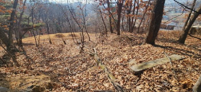 경기도 파주시 문산읍 당동리 산83 임야 경매 사진 13