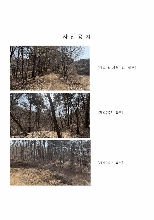 경기도 파주시 문산읍 당동리 산83 임야 경매 사진 3