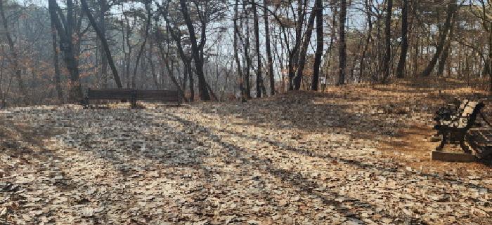 경기도 파주시 문산읍 당동리 산83 임야 경매 사진 6