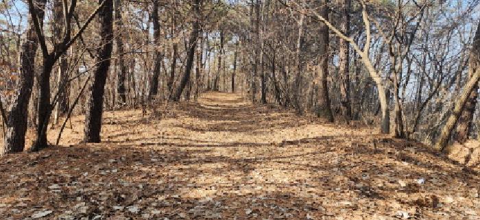 경기도 파주시 문산읍 당동리 산83 임야 경매 사진 7