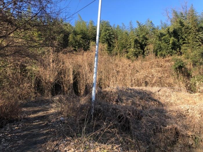 경상북도 성주군 금수강산면 광산리 967 답 경매 사진 1