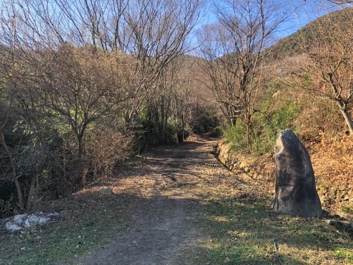 경상북도 성주군 금수강산면 광산리 967 답 경매 사진 10