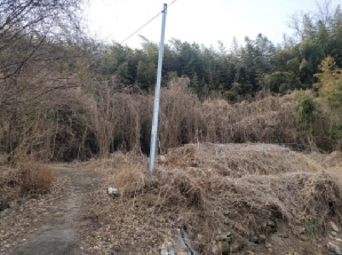 경상북도 성주군 금수강산면 광산리 967 답 경매 사진 14