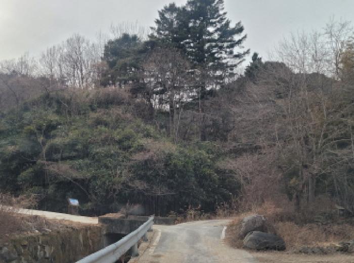 경상북도 성주군 금수강산면 광산리 967 답 경매 사진 18