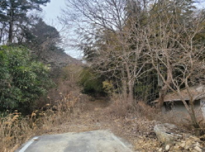 경상북도 성주군 금수강산면 광산리 967 답 경매 사진 19