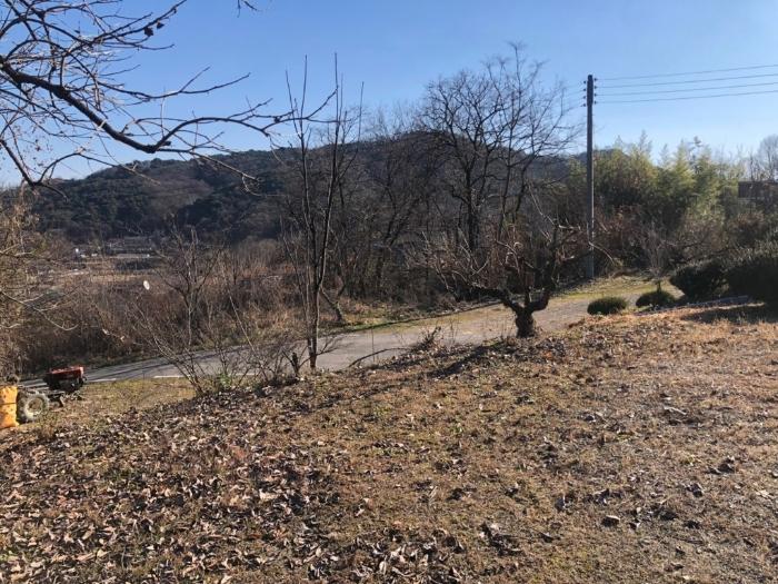 경상북도 성주군 금수강산면 광산리 967 답 경매 사진 3