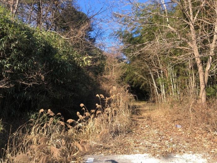 경상북도 성주군 금수강산면 광산리 967 답 경매 사진 5
