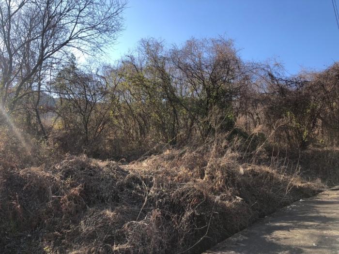 경상북도 성주군 금수강산면 광산리 967 답 경매 사진 9