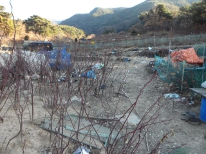 대구광역시 달성군 유가읍 양리 산31-8 임야 경매 사진 10
