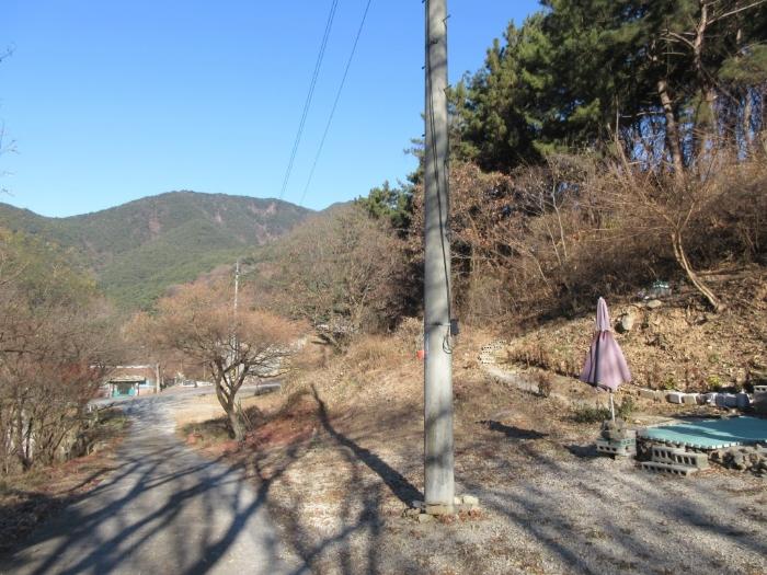 대구광역시 달성군 유가읍 양리 산31-8 임야 경매 사진 3