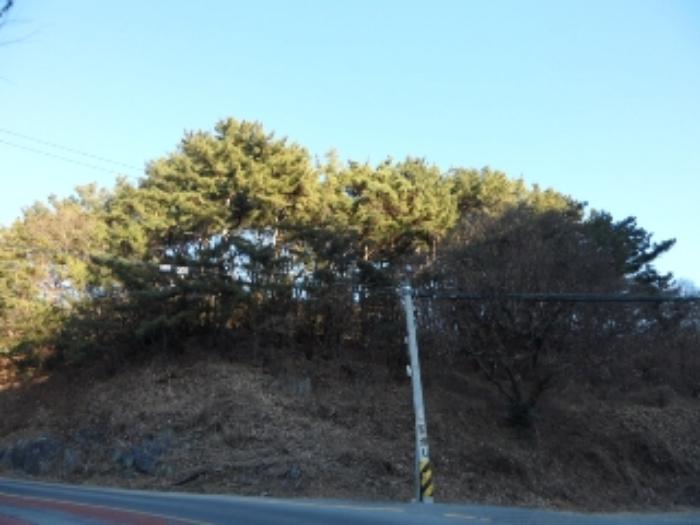 대구광역시 달성군 유가읍 양리 산31-8 임야 경매 사진 7