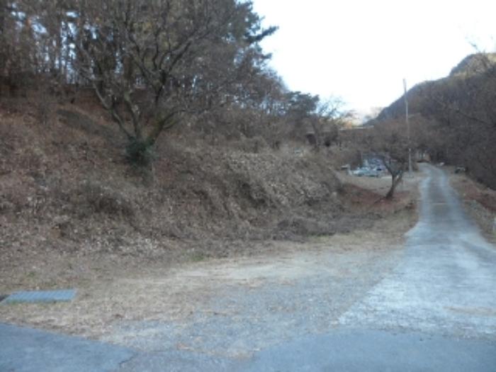 대구광역시 달성군 유가읍 양리 산31-8 임야 경매 사진 8