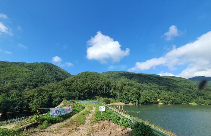 울산광역시 울주군 두서면 서하리 산105 임야 경매 사진 4