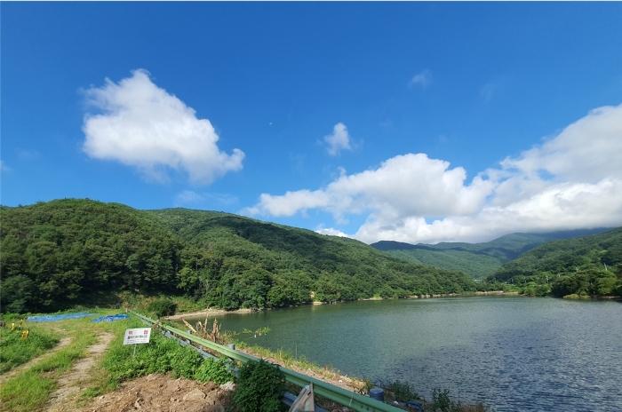 울산광역시 울주군 두서면 서하리 산105 임야 경매 사진 8