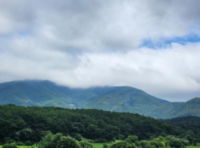 울산광역시 울주군 두서면 서하리 산105 임야 경매 사진 9