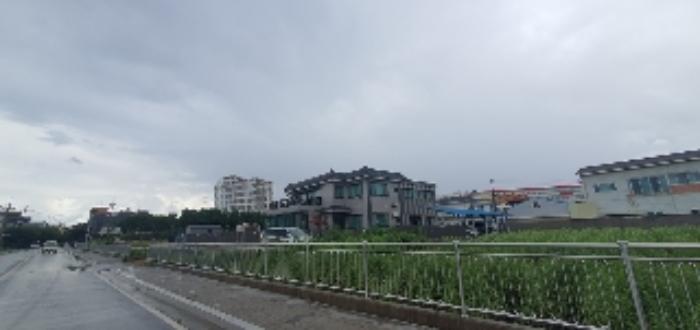 경상남도 함안군 가야읍 도항리 388-4 답 경매 사진 2