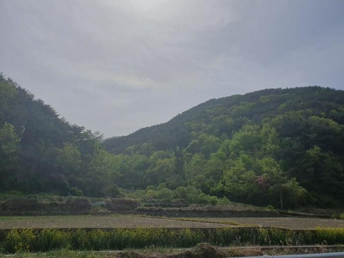 경상남도 창원시 마산합포구 답