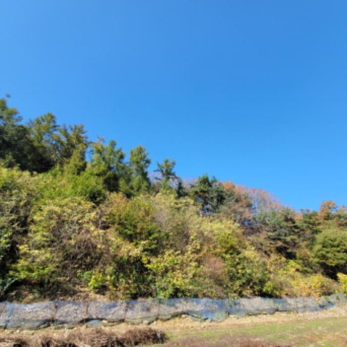 경기도 파주시 광탄면 발랑리 산83 임야 경매 사진 14