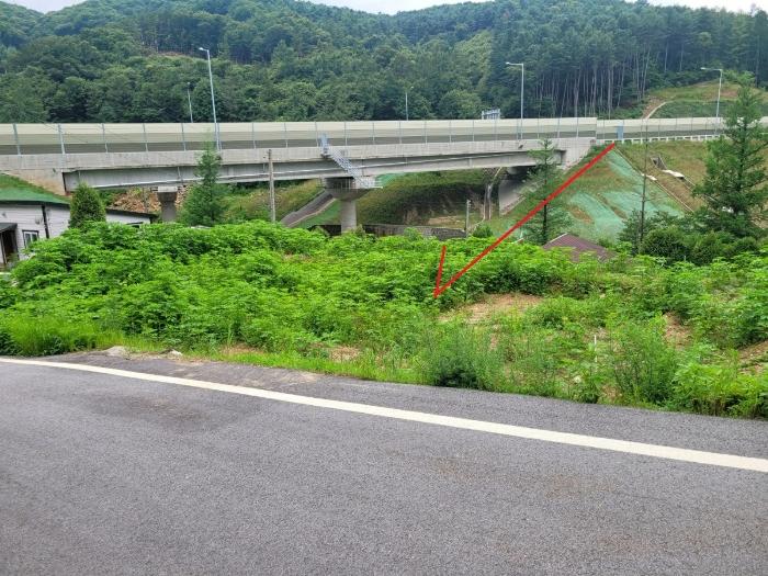 경기도 남양주시 수동면 지둔리 31 전 경매 사진 6